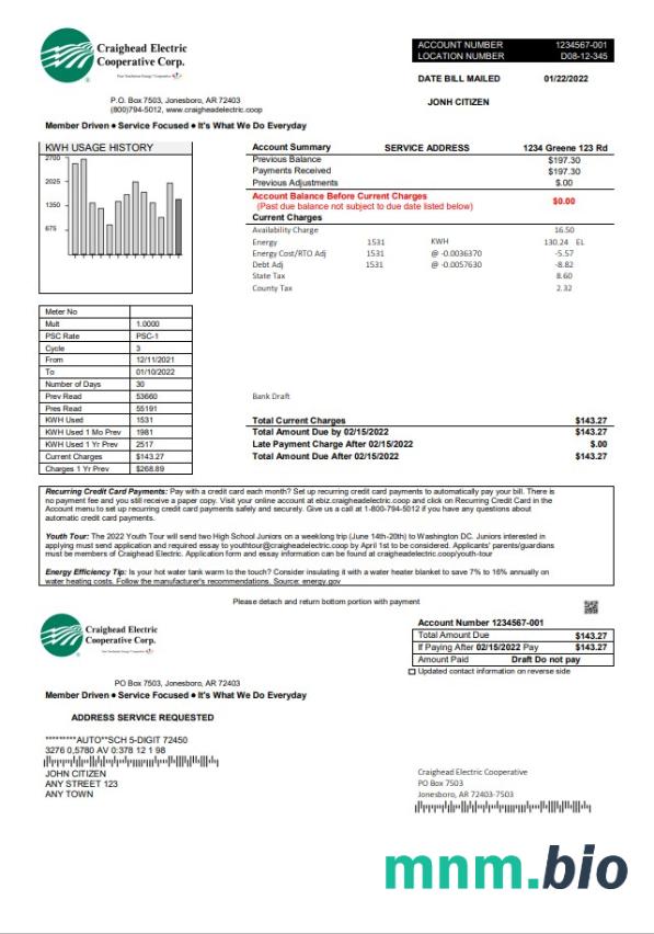 USA Craighead Electric rachunek za media szablon w formacie Word i PDF